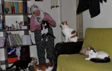 Nuriye Teyze Kış Nedeniyle 58 Kediye Evinde Bakıyor