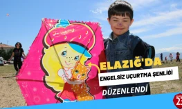 Elazığ'da Engelsiz Uçurtma Şenliği Renkli Görüntülere Sahne Oldu