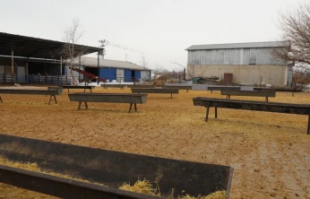 Akçakiraz'da Küçükbaş Besi Ağılı Modernize Edildi