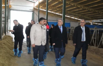 Elazığ'da Hayvancılık Tesislerine Saha İncelemesi: Deprem Sonrası Yapılar ve Ari İşletmeler Değerlendirildi