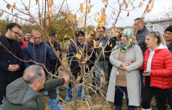Elazığ'da 'Meyve Ağaçlarında Budama ve Aşılama Teknikleri' Eğitimi Tamamlandı