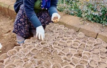 Elazığ Orman Bölge Müdürlüğü'nden Sıfır Atıkla Doğaya Dost Fidan Üretimi