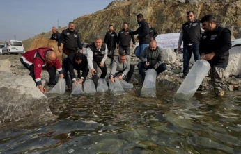 Karakaya Barajı'na 420 Bin Balık Yavrusu Bırakıldı