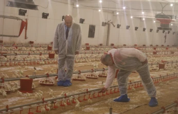 KKYDP Desteğiyle Elazığ'da Kanatlı Üretimi İki Katına Çıktı