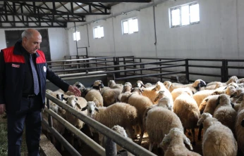 Kovancılar'da Yeni Dönem: Modern Ağıl Üretimi Güçlendirecek