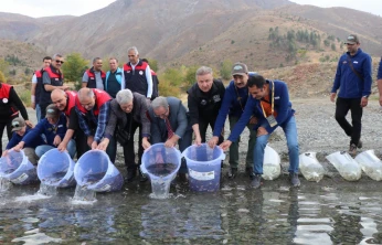 Uluslararası Hazar Sazan Kupası Kapanışında Hazar Gölü'ne 30 Bin Balık Bırakıldı