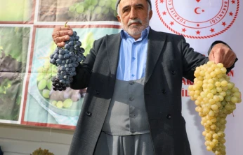 Üzümle Emeğin Buluştuğu Hoşköy'de Bereket Hasadı