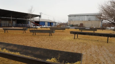 Akçakiraz'da Küçükbaş Besi Ağılı Modernize Edildi