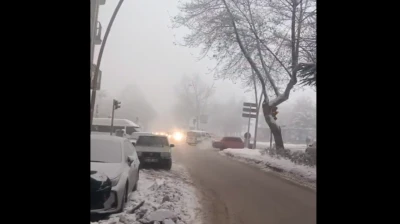 Elazığ'da Sis ve Buzlanma Etkili Oldu