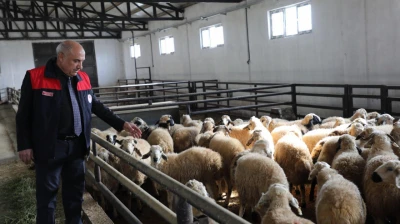 Kovancılar'da Yeni Dönem: Modern Ağıl Üretimi Güçlendirecek