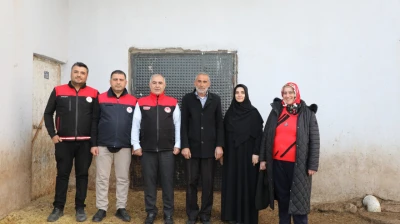 Tarımda Kadın Gücü: Semiha Erginöz'ün Başarılı Hayvancılık Hikâyesi