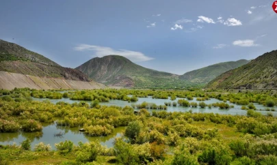 Beyhan'da fotosafari heyecanı