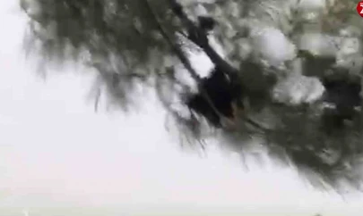 Elazığ'da fırtına etkili oldu