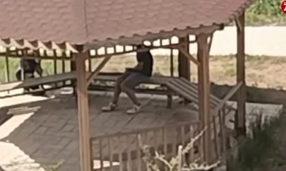 Elazığ'da Kamelyaya Zarar Verdiler: O Anlar Kamerada!
