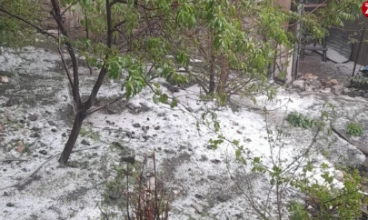 Elazığ'ın Arıcak İlçesinde Dolu Yağışı Hayatı Felç Etti