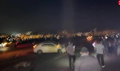 Otomobil koyun sürüsüne daldı: 15 koyun telef oldu