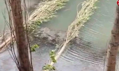 Karakoçan'da Şiddetli fırtına hayatı felç etti
