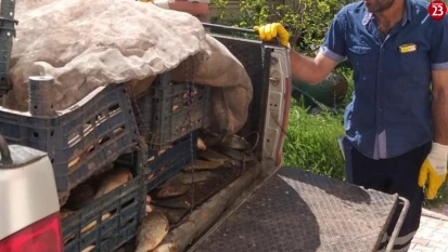 Elazığ'da kaçak avlanan 700 kilogram balık ele geçirildi