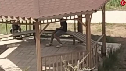 Elazığ'da Kamelyaya Zarar Verdiler: O Anlar Kamerada!