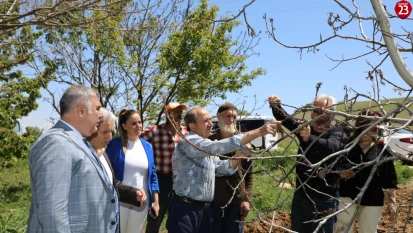 Elazığ'da Zirai Don Nedeniyle Zarar Gören Meyve Bahçeleri İncelendi