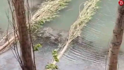 Karakoçan'da Şiddetli fırtına hayatı felç etti