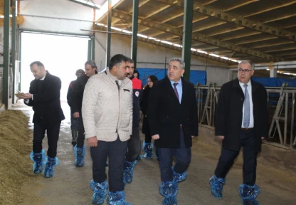 Elazığ'da Hayvancılık Tesislerine Saha İncelemesi: Deprem Sonrası Yapılar ve Ari İşletmeler Değerlendirildi