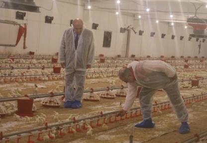 KKYDP Desteğiyle Elazığ'da Kanatlı Üretimi İki Katına Çıktı