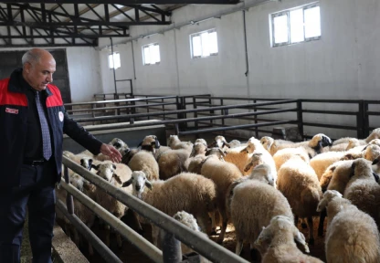 Kovancılar'da Yeni Dönem: Modern Ağıl Üretimi Güçlendirecek