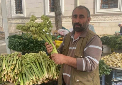 Elazığ'da Baharın Habercisi Işkın Tezgahlarda! Şifa Deposu Bitki Kilosu 150 TL'den Satılıyor