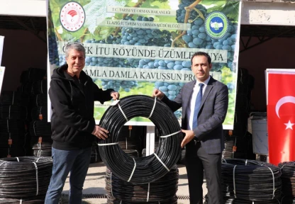 Üzümler Suya Damla Damla Kavuşuyor! Elazığ'da Verimli Üretim Dönemi Başladı