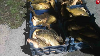 Elazığ'da Kaçak Avlanan 210 Kilogram Balığa El Konuldu