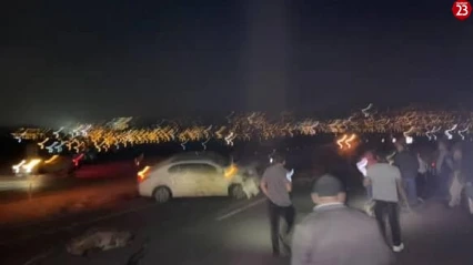 Otomobil koyun sürüsüne daldı: 15 koyun telef oldu