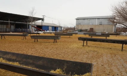 Akçakiraz'da Küçükbaş Besi Ağılı Modernize Edildi