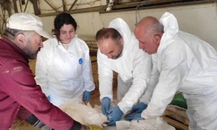 Elazığ'da hayvan sağlığı çalışmaları sürüyor