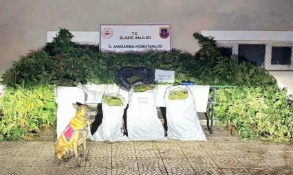 Elazığ'da Jandarmadan Uyuşturucu ve Silah Operasyonu: 2 Tutuklama
