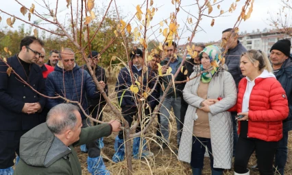 Elazığ'da 'Meyve Ağaçlarında Budama ve Aşılama Teknikleri' Eğitimi Tamamlandı