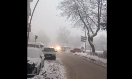 Elazığ'da Sis ve Buzlanma Etkili Oldu