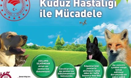 Elazığ'da Yaban Hayvanlarına Havadan Kuduz Aşısı Uygulaması Başlıyor