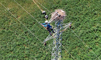 Fırat EDAŞ'tan Leylek Göçüne Duyarlı Enerji Çalışmaları
