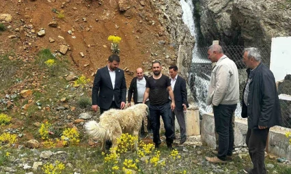 İhbar kendisine geldi, belediye başkanı köpek kurtarma operasyonuna katıldı