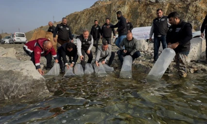 Karakaya Barajı'na 420 Bin Balık Yavrusu Bırakıldı