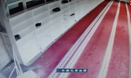 Kedinin caminin asma tavanını yıkarak aşağı düştüğü anlar kamerada