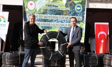 Üzümler Suya Damla Damla Kavuşuyor! Elazığ'da Verimli Üretim Dönemi Başladı