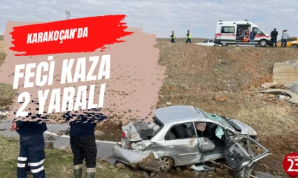 Karakoçan'da Araç Şarampole Yuvarlandı, 2 Yaralı