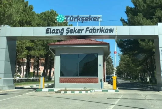 Elazığ'a Yeni İstihdam Fırsatı: Türkşeker 45 Kişi Alacak