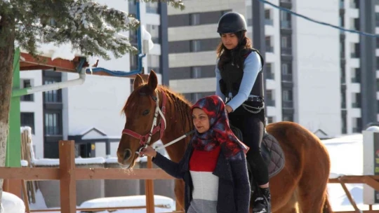 'Yapamazsın' dediler hırs yaptı Elazığ'ın tek kadın seyisi oldu