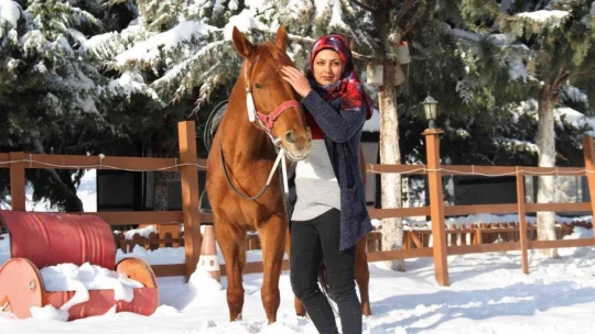 'Yapamazsın' dediler hırs yaptı Elazığ'ın tek kadın seyisi oldu