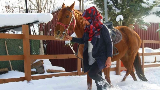 'Yapamazsın' dediler hırs yaptı Elazığ'ın tek kadın seyisi oldu