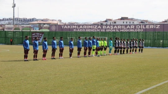 2. Lig Kırmızı Grup: Elazığspor: 1 - Etimesgut Belediyespor: 4