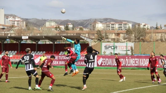 2. Lig Kırmızı Grup: Elazığspor: 1 - Etimesgut Belediyespor: 4